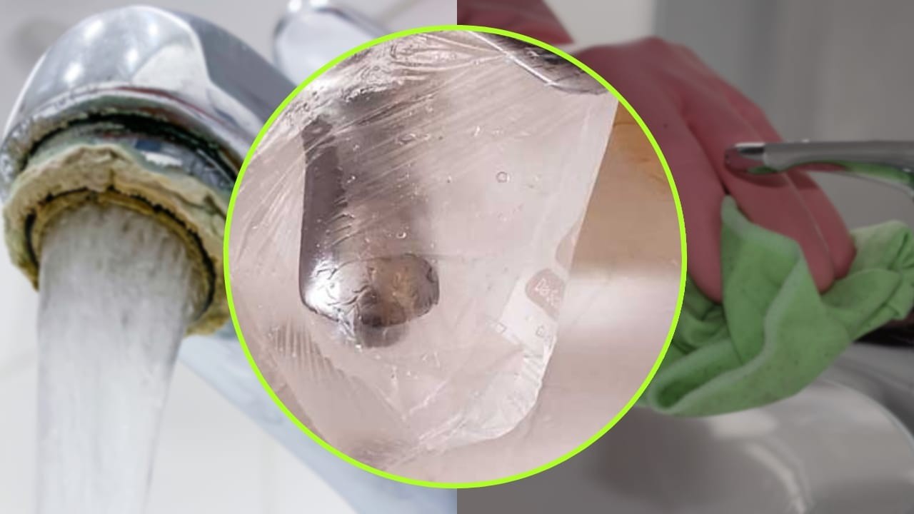 grifo de piedra caliza