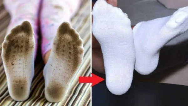 Calcetines perfumados y muy blancos sin lejía: así eliminas la suciedad inmediatamente