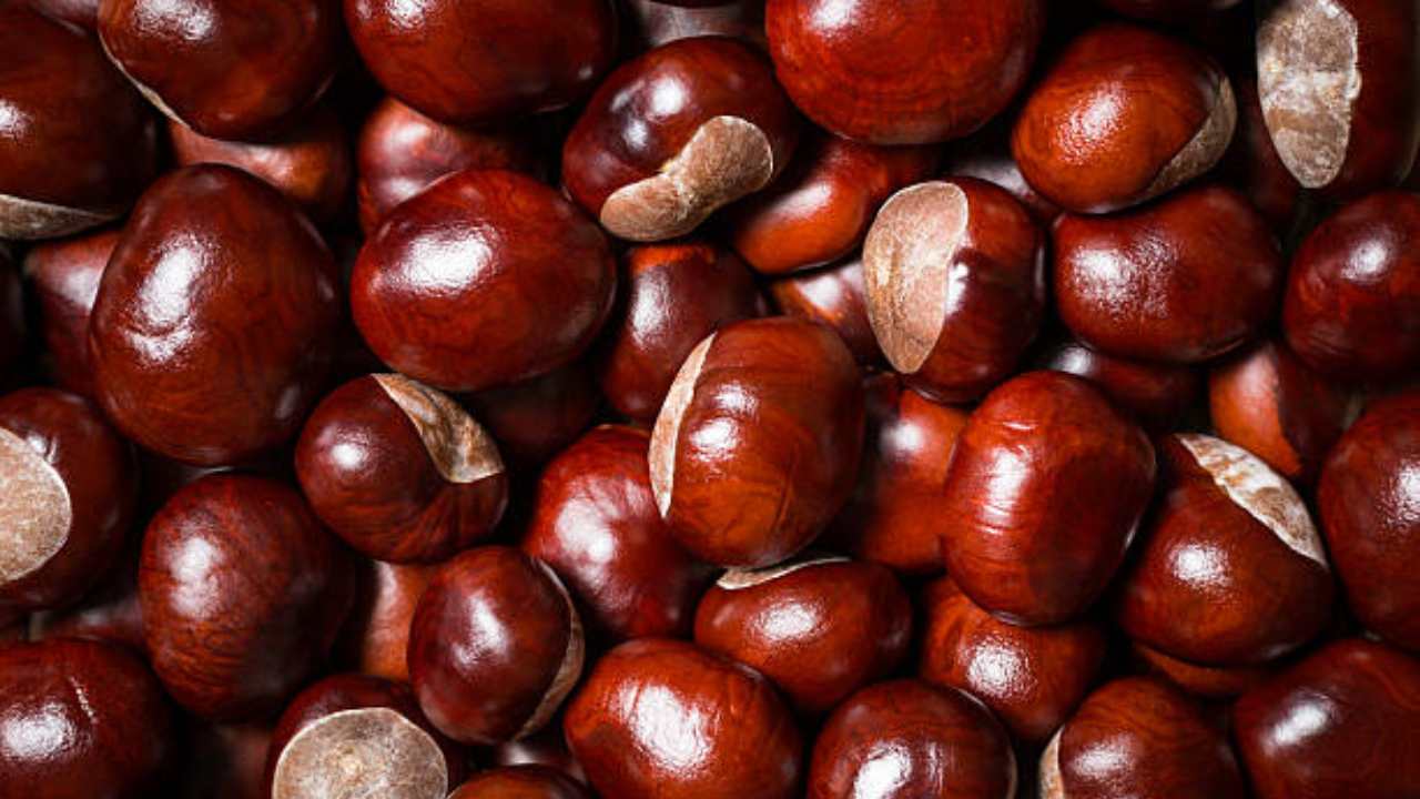 Castañas en la ventana