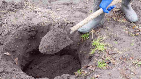 Cava hasta que salga un tesoro: insospechado lo que encuentra