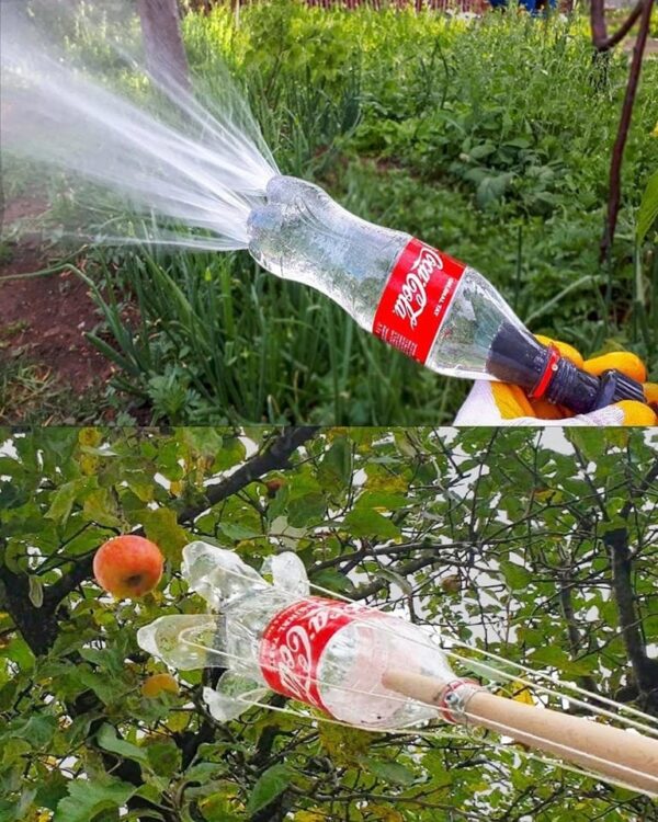 Cómo Reutilizar Inteligentemente Botellas de Plástico