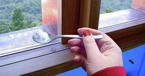 ¿Cómo alejar a los insectos de la casa con bicarbonato de sodio?