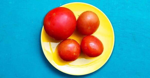¿Cómo almacenar los tomates por más tiempo?