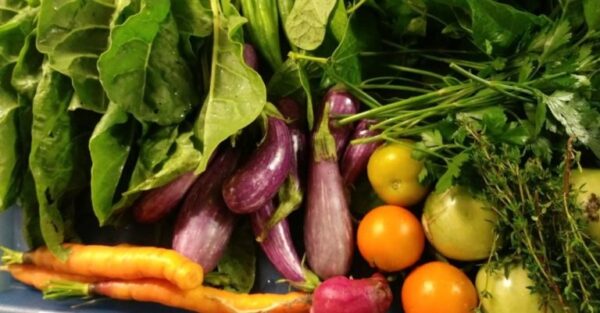 Cómo almacenar y preservar los cultivos de jardín.