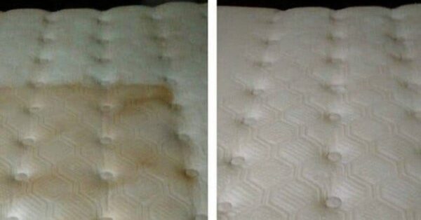 ¿Cómo ayuda el bicarbonato de sodio a combatir los ácaros del polvo?