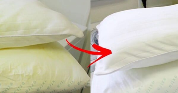 Cómo blanquear tus almohadas y colchones sin lejía: 2 consejos infalibles