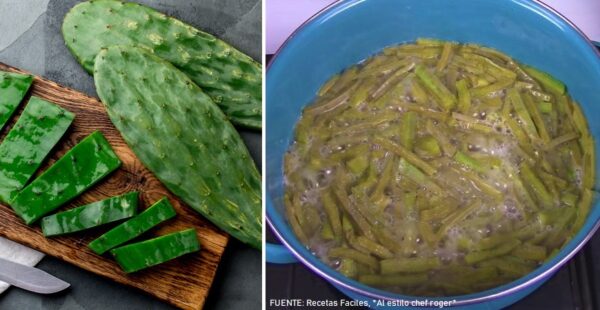 Cómo cocinar nopales sin baba