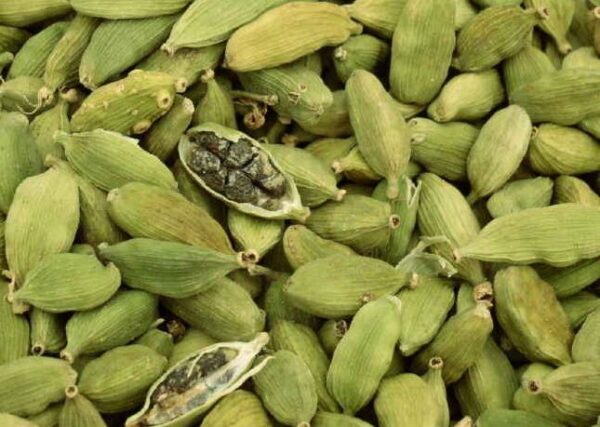 Cómo cultivar cardamomo a partir de semillas.