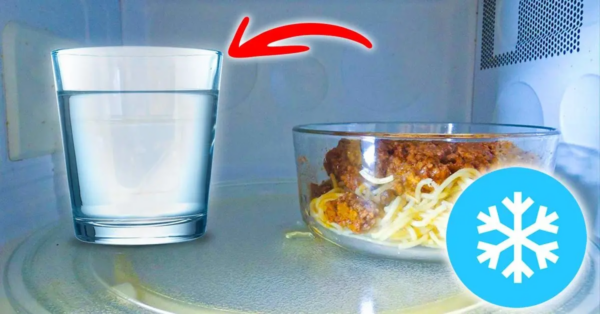 ¿Cómo descongelar alimentos en el microondas con el truco del vaso de agua?