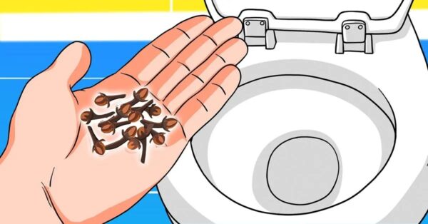 ¿Cómo deshacerse de los malos olores del baño con clavo?