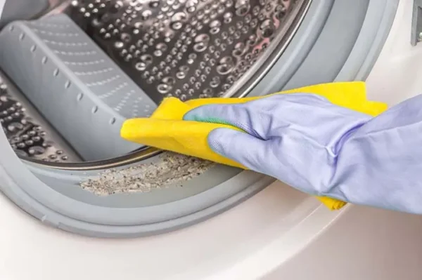 ¿Cómo deshacerse del moho de la lavadora?