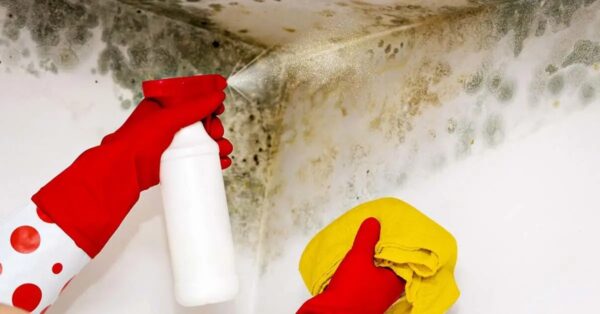 ¿Cómo deshacerse del moho en todos los rincones del baño?