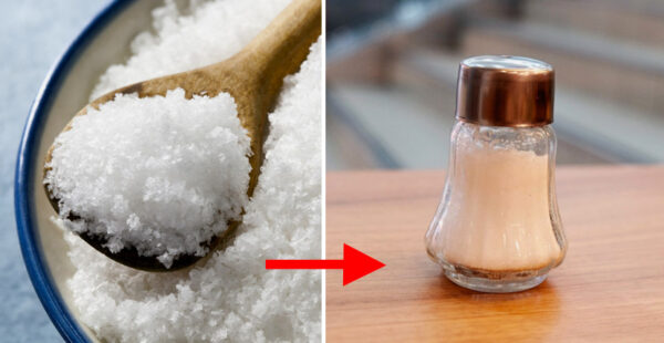 Cómo eliminar la humedad de la sal