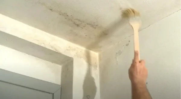 Cómo eliminar la humedad y el moho con un remedio sencillo y eficaz
