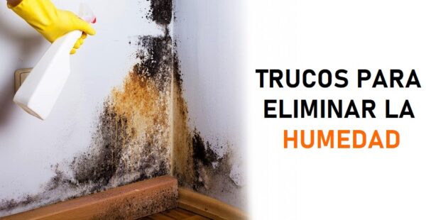 Cómo eliminar las manchas de humedad de las paredes