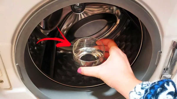 ¡Cómo elimino la SUCIEDAD incrustada en la lavadora con 1 VASO!