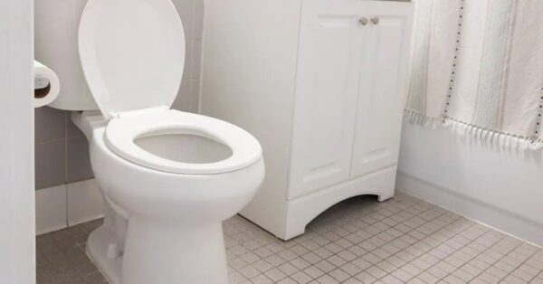 ¿Cómo entran fácilmente las ratas y los ratones al inodoro?