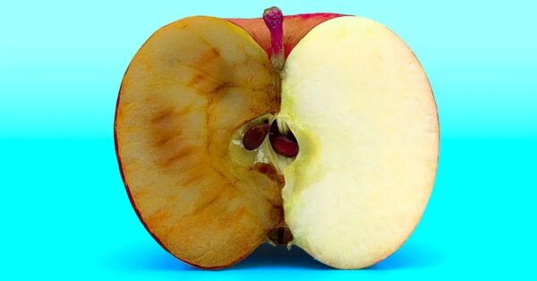 ¿Cómo evitas que las manzanas rebanadas se pongan marrones? I