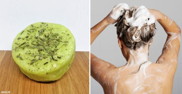 Cómo hacer Shampoo sólido de romero para cuidar el cabello