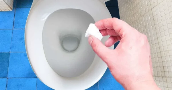 ¿Cómo hacer bolas para limpiar el baño?