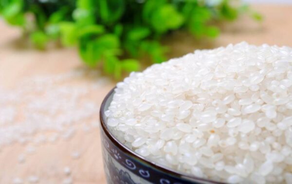 ¡Cómo hacer estiércol fácil con un poco de ARROZ!