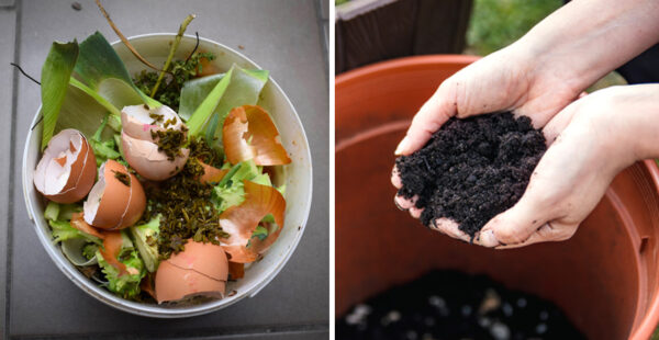 Cómo hacer un compost en casa fácil