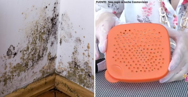 Cómo hacer un deshumidificador casero para terminar con la humedad del hogar