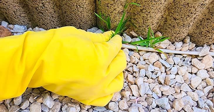 Saque las malas hierbas a mano final