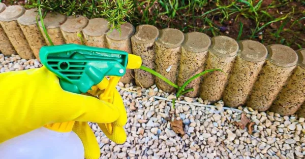 ¿Cómo hacer un herbicida potente y natural para tu jardín?