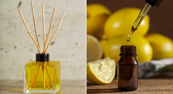 Cómo hacer una aromatizante casero a base de cítricos para la casa
