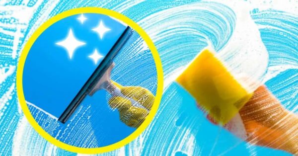 ¿Cómo lavar las ventanas para un resultado impecable? La punta de un limpiador de ventanas