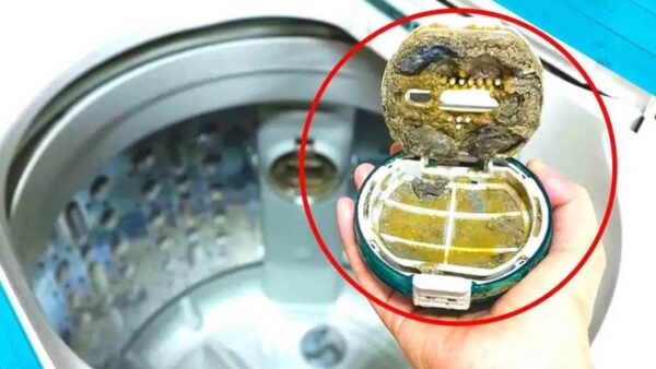 Cómo limpiar el filtro de la lavadora, si lo haces te ahorras el doble en las facturas