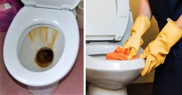 Cómo limpiar el sarro del inodoro sin utilizar bicarbonato