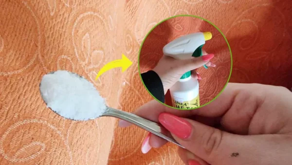 Cómo limpiar el sofá perfectamente sin quitarlo: parecerá recién comprado