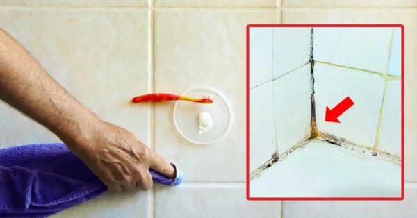 ¿Cómo limpiar la lechada sucia en el baño? 6 consejos simples y efectivos
