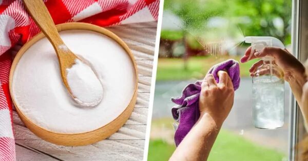 ¿Cómo limpiar las ventanas y evitar que se empañen? 6 consejos simples y efectivos