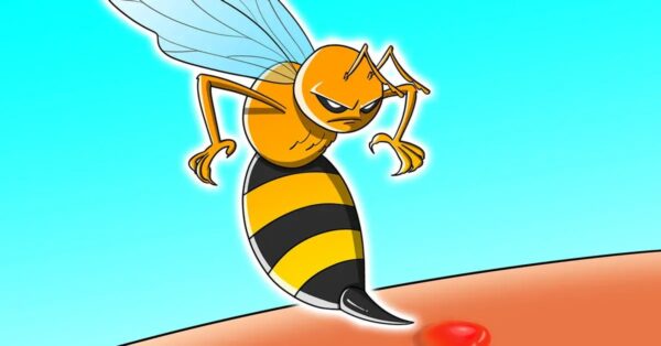 ¿Cómo mantener a las avispas y abejas alejadas del jardín?