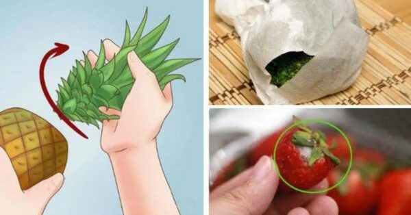 Cómo mantener tus frutas y verduras frescas hasta por un mes