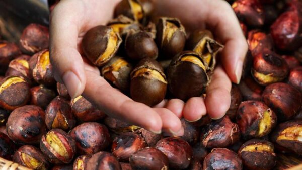 Cómo pelar castañas fácilmente, no necesitas horno: listo en un instante