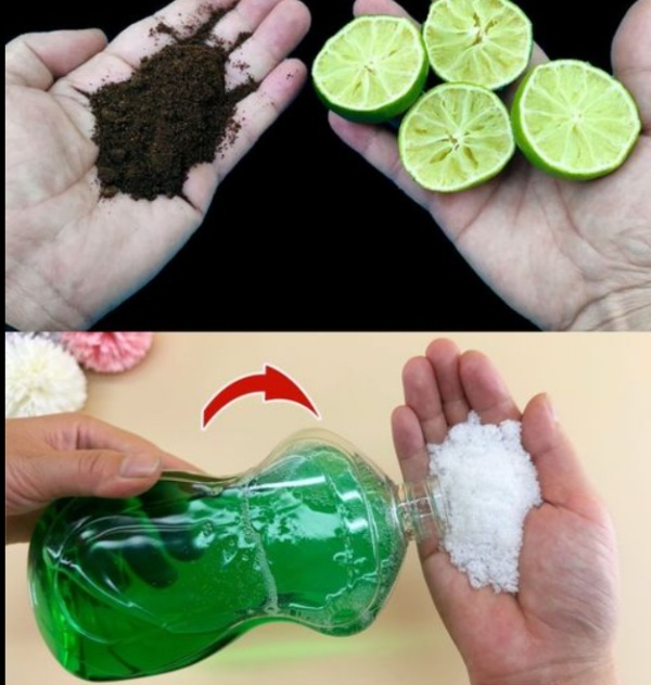 Cómo perfumar su baño sin usar un ambientador