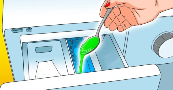 ¿Cómo perfumar y refrescar tu ropa de forma natural?