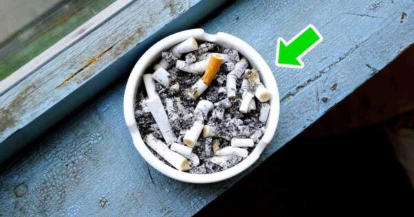 ¿Cómo quitar el olor a cigarro de la casa? 8 consejos simples y efectivos