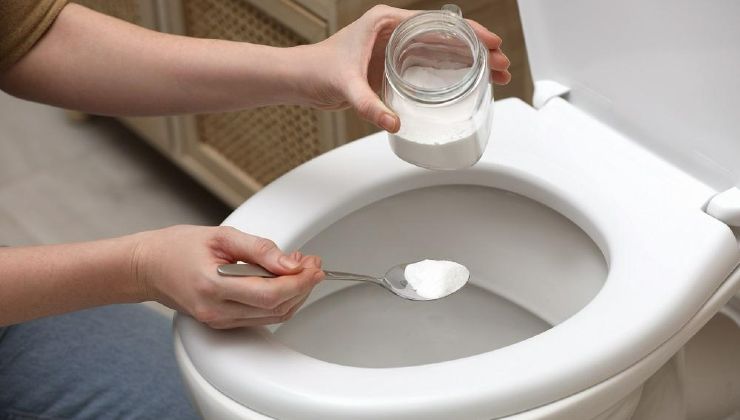 desinfectar el baño