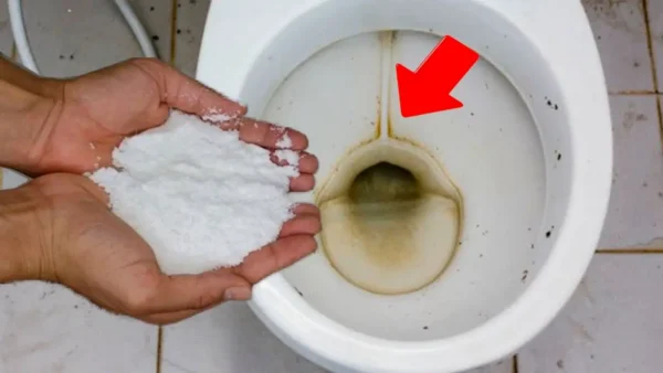 Cómo quitar la suciedad más dura del inodoro: el remedio está en la despensa