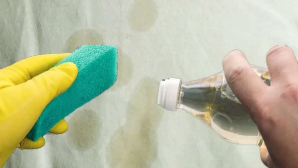 Cómo quitar las manchas de aceite de tu mantel: Este ingrediente lo absorbe todo