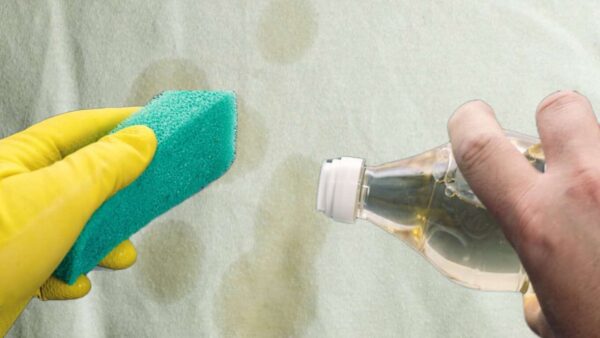 Cómo quitar las manchas de aceite de tu mantel: Este ingrediente lo absorbe todo