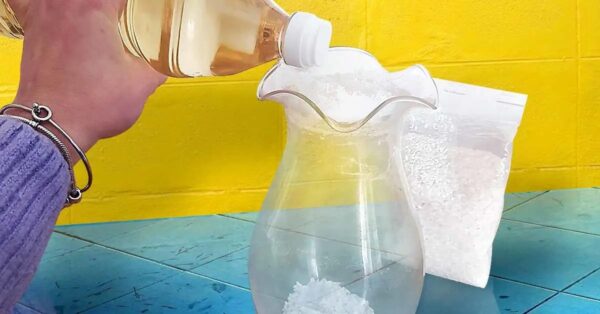 ¿Cómo quitar las manchas de un jarrón para que luzca como nuevo?