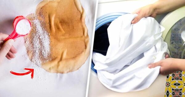 ¿Cómo quitar las manchas difíciles de la ropa blanca? 4 pasos esenciales