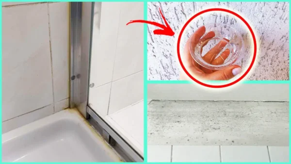 Cómo quito el MOHO del BAÑO con 5 trucos infalibles