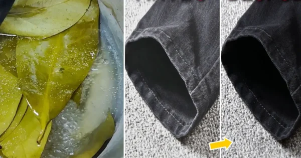 Cómo recuperar prendas oscuras desteñidas con laurel y bicarbonato